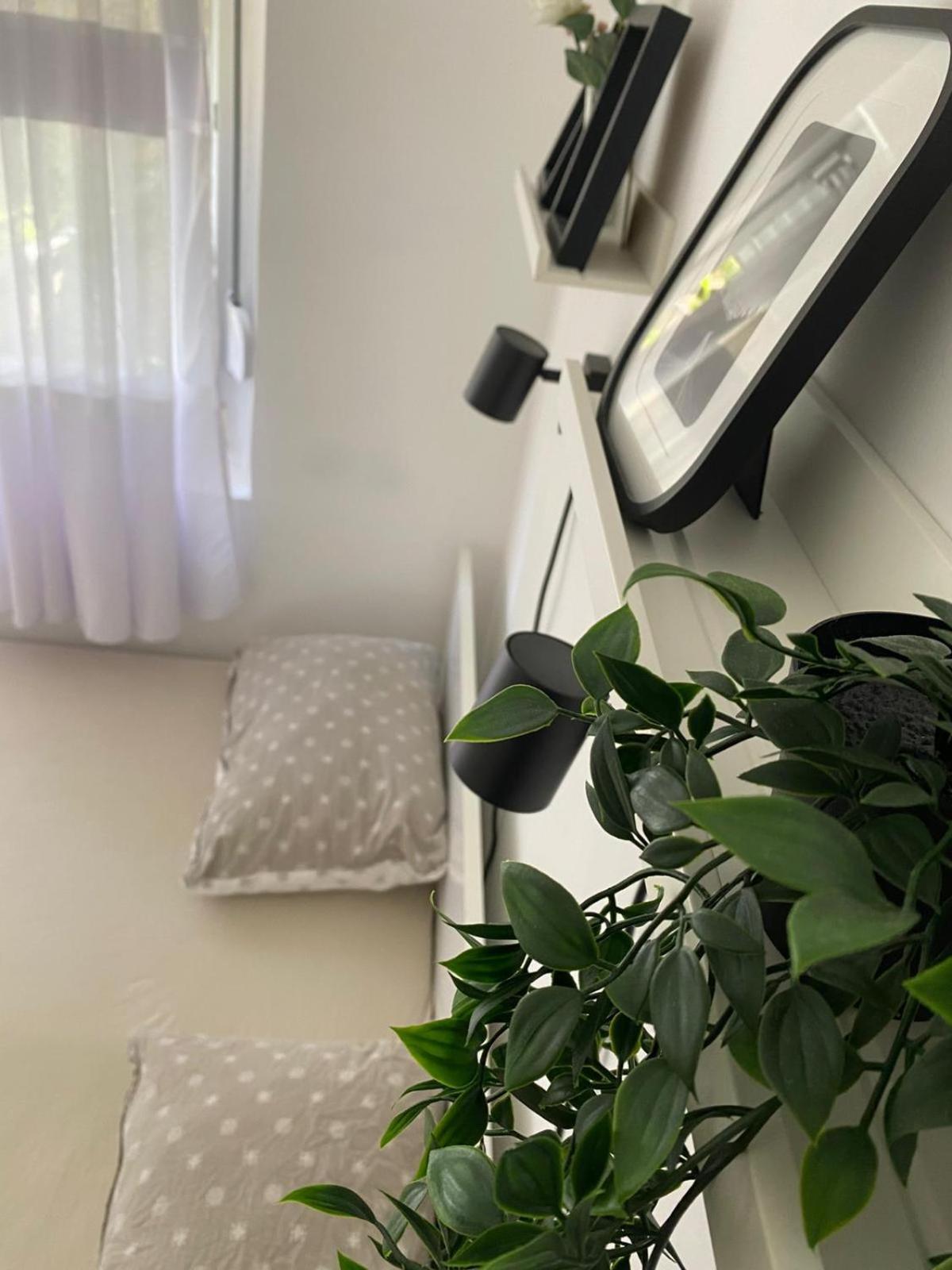 Urban Oasis Apartment Sajmiste Ngoại thất bức ảnh